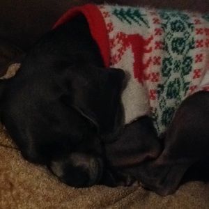 Meet your Posher, Alecia